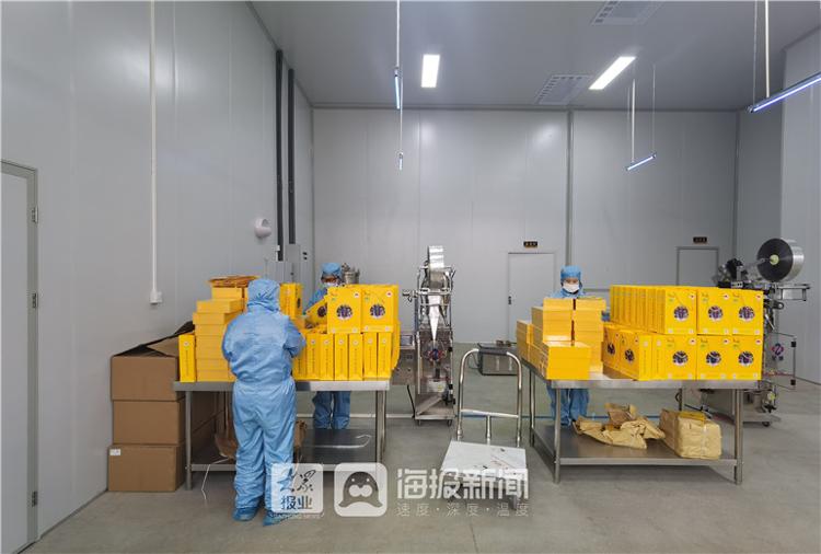 古桑资源大健康产品研讨及新产品发布会在夏津德百举行