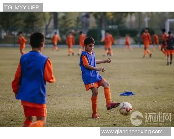 中国足球传奇人物卡片集：见证历史荣耀与球星风采的珍贵收藏